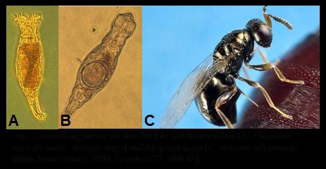 Figure 2 Figure 2
